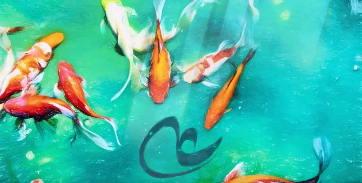 پوستر ولادت امام علی