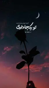 فونت تایپوکار