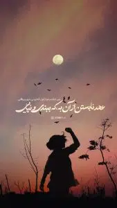 فونت تایپوکار