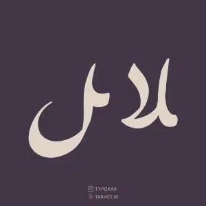  فونت تایپوکار