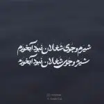 فونت تایپوکار