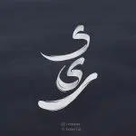 فونت تایپوکار