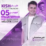 پروژه آماده افترافکت کنسرت