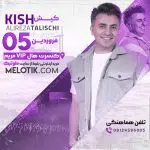 پروژه آماده افترافکت کنسرت