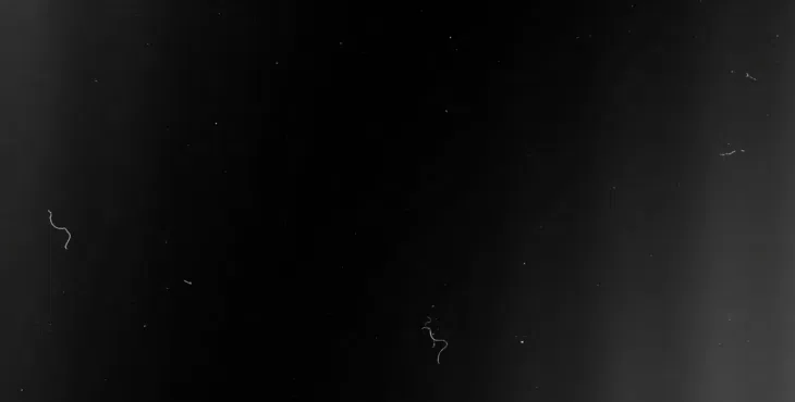 دانلود رایگان فوتیج های تایپوکار