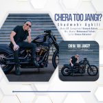 دانلود پروژه اکولایزر افترافکت3