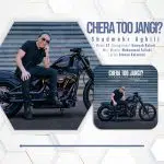 دانلود پروژه اکولایزر افترافکت3