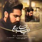 دانلود پروژه اکولایزر افترافکت 14